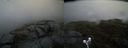 ./images/calvert/buxton2/20190418/buxton220190418_110457M.jpg