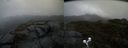 ./images/calvert/buxton2/20190418/buxton220190418_120957M.jpg