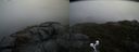 ./images/calvert/buxton2/20190418/buxton220190418_124957M.jpg