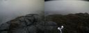 ./images/calvert/buxton2/20190418/buxton220190418_132957M.jpg