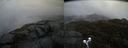 ./images/calvert/buxton2/20190418/buxton220190418_133457M.jpg
