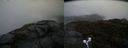 ./images/calvert/buxton2/20190418/buxton220190418_134457M.jpg