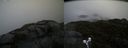 ./images/calvert/buxton2/20190418/buxton220190418_134957M.jpg