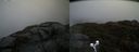 ./images/calvert/buxton2/20190418/buxton220190418_140457M.jpg