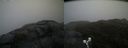 ./images/calvert/buxton2/20190418/buxton220190418_142457M.jpg