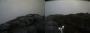 ./images/calvert/buxton2/20190418/buxton220190418_142957M.jpg