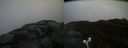 ./images/calvert/buxton2/20190418/buxton220190418_145457M.jpg