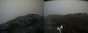 ./images/calvert/buxton2/20190418/buxton220190418_152957M.jpg