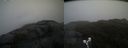 ./images/calvert/buxton2/20190418/buxton220190418_164957M.jpg