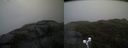 ./images/calvert/buxton2/20190418/buxton220190418_165957M.jpg