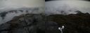 ./images/calvert/buxton2/20190418/buxton220190418_191457M.jpg