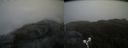 ./images/calvert/buxton2/20190419/buxton220190419_115457M.jpg