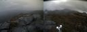 ./images/calvert/buxton2/20190421/buxton220190421_150957M.jpg