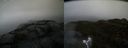 ./images/calvert/buxton2/20190422/buxton220190422_073457M.jpg