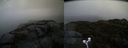./images/calvert/buxton2/20190422/buxton220190422_081457M.jpg