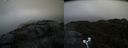./images/calvert/buxton2/20190422/buxton220190422_081957M.jpg