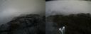 ./images/calvert/buxton2/20190422/buxton220190422_084457M.jpg