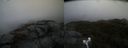./images/calvert/buxton2/20190422/buxton220190422_084957M.jpg