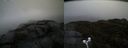 ./images/calvert/buxton2/20190422/buxton220190422_085957M.jpg