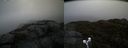 ./images/calvert/buxton2/20190422/buxton220190422_090457M.jpg
