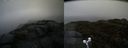 ./images/calvert/buxton2/20190422/buxton220190422_091457M.jpg