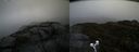 ./images/calvert/buxton2/20190422/buxton220190422_092457M.jpg