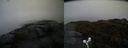 ./images/calvert/buxton2/20190422/buxton220190422_093457M.jpg