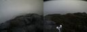./images/calvert/buxton2/20190422/buxton220190422_093957M.jpg