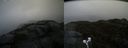 ./images/calvert/buxton2/20190422/buxton220190422_094457M.jpg