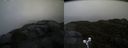 ./images/calvert/buxton2/20190422/buxton220190422_094957M.jpg