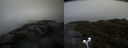 ./images/calvert/buxton2/20190422/buxton220190422_101457M.jpg