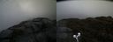 ./images/calvert/buxton2/20190422/buxton220190422_101957M.jpg