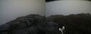./images/calvert/buxton2/20190422/buxton220190422_112457M.jpg