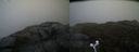 ./images/calvert/buxton2/20190422/buxton220190422_113957M.jpg