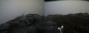 ./images/calvert/buxton2/20190422/buxton220190422_115957M.jpg