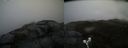 ./images/calvert/buxton2/20190422/buxton220190422_122457M.jpg
