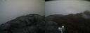 ./images/calvert/buxton2/20190422/buxton220190422_123457M.jpg