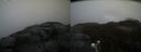 ./images/calvert/buxton2/20190422/buxton220190422_123957M.jpg
