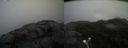 ./images/calvert/buxton2/20190422/buxton220190422_124457M.jpg