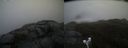 ./images/calvert/buxton2/20190422/buxton220190422_125457M.jpg