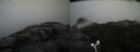 ./images/calvert/buxton2/20190422/buxton220190422_130457M.jpg