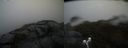 ./images/calvert/buxton2/20190422/buxton220190422_130957M.jpg