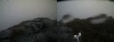 ./images/calvert/buxton2/20190422/buxton220190422_131457M.jpg