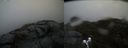 ./images/calvert/buxton2/20190422/buxton220190422_131957M.jpg