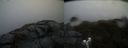 ./images/calvert/buxton2/20190422/buxton220190422_132957M.jpg