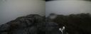 ./images/calvert/buxton2/20190422/buxton220190422_143457M.jpg