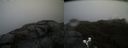 ./images/calvert/buxton2/20190422/buxton220190422_144957M.jpg