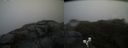 ./images/calvert/buxton2/20190422/buxton220190422_145957M.jpg