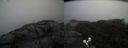 ./images/calvert/buxton2/20190422/buxton220190422_150957M.jpg