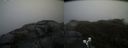 ./images/calvert/buxton2/20190422/buxton220190422_151457M.jpg